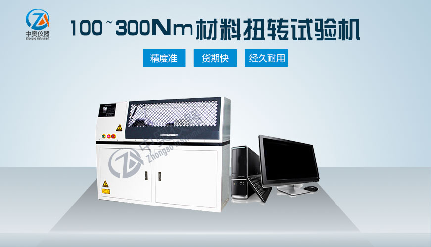 100~300Nm材料扭轉(zhuǎn)試驗(yàn)機(jī)